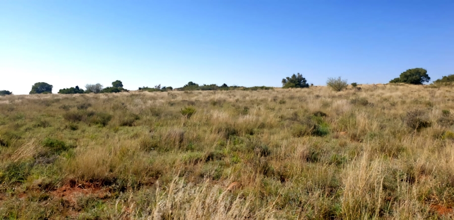 4 Bedroom Property for Sale in Petrusburg Rural Free State